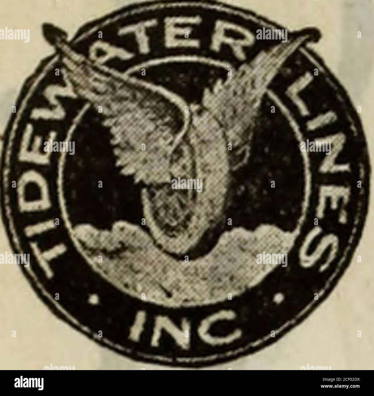 . Washington (District of Columbia), Stadtverzeichnis. 1001 Grinder Jos E 1002 Clark Chas 1006 Washington Leroy 1007 Cater Benj 1008 Lawrence Bertha Mrs 1009 Petro Joseph 1010 Freeman Andrew J1011-13 Carson P H, junk1014 Hall Leroy 1016 Owens John1018 Friedrich Ilenry1020 Carroll J W1022 Carter Richd A 1024 Perry Olive Mrs, gro 1025 Williams J C1027 Walker Howard1029 Plummer Mary L1108 Simms Cath1110 Hickerson Harry1112 Bruce Saml1116 Horan Estelle Mrs1118 Ferguson Nora1120 Decatur SAML T 1122 Taylor W J 1123 Baylor Roland1125 Herodes WM M 1208 Thompson Jos A 1209 Snovvden Ignatius 1210 Deavers La Stockfoto