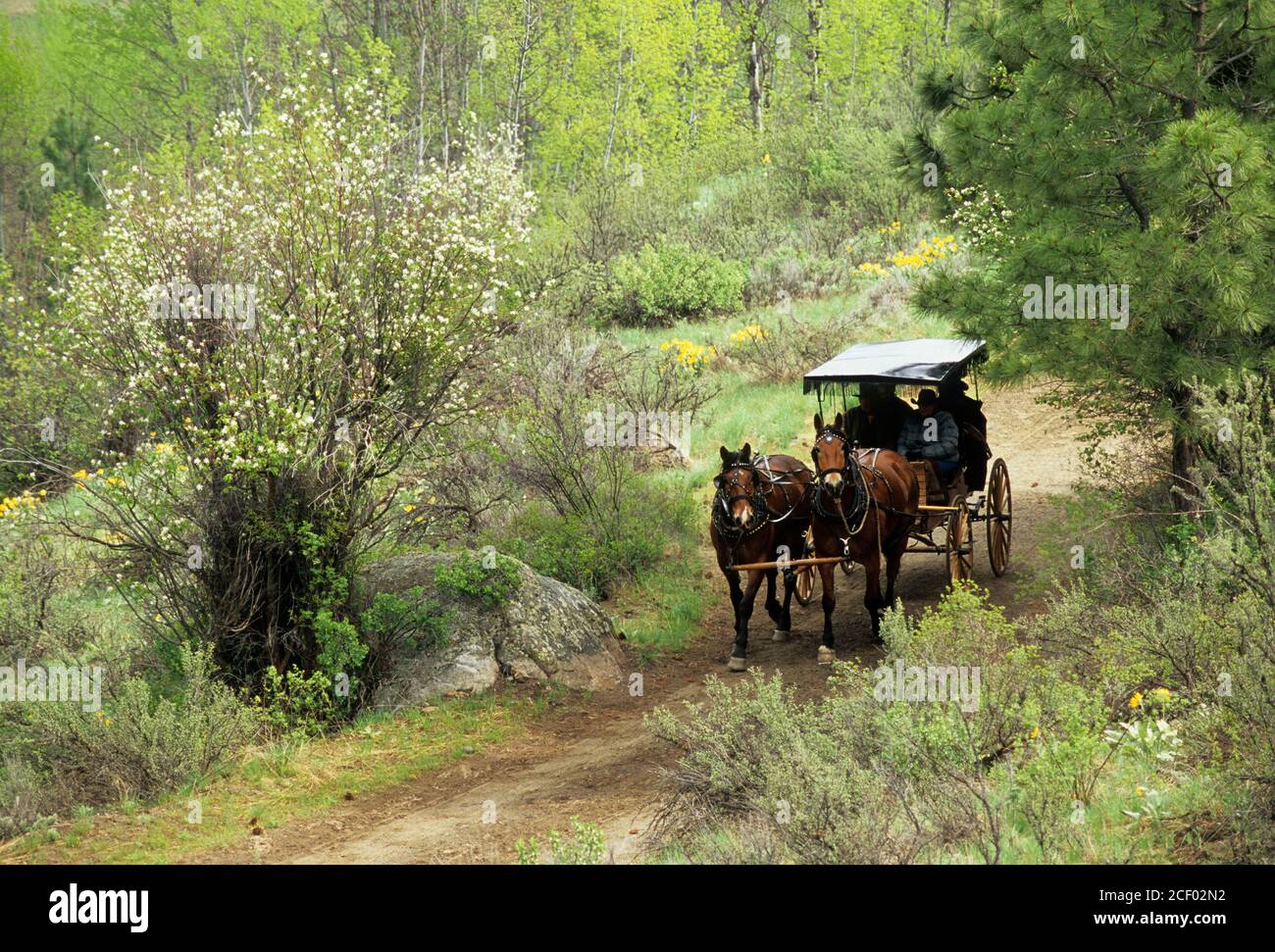 Fahrt zum Rendezvous Wagen, Methow Wildlife Area, Washington Stockfoto