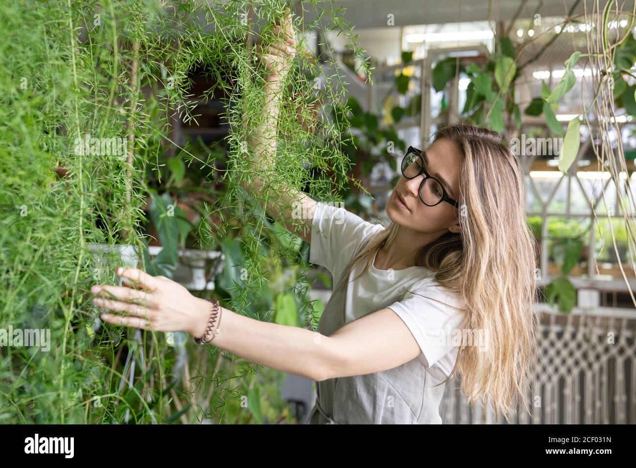 Fröhliche junge Frau Gärtner in Lien Kleid berühren üppigen Spargel Farn Zimmerpflanze. Viel Grün zu Hause. Liebe zu Pflanzen. Gemütlicher Garten im Innenbereich. Stockfoto