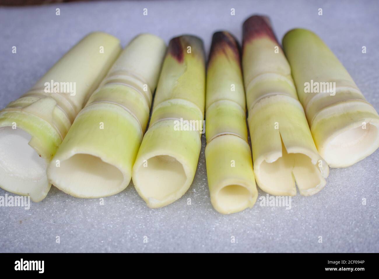 Bambus schießt geschälte köstliche Lebensmittel auf weißem Hintergrund gesetzt Stockfoto