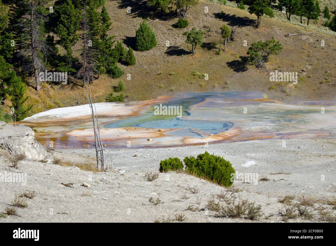 Mammoth Hot Springs im Yellowstone National Park, USA Stockfoto