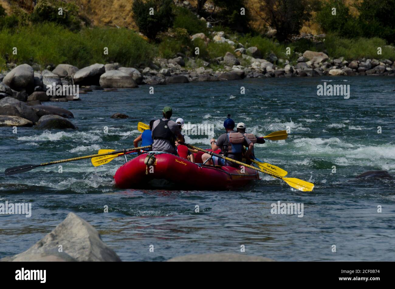 Schwimmend den Fluss hinunter in der Nähe von Gardiner, im Yellowstone National Park, USA Stockfoto