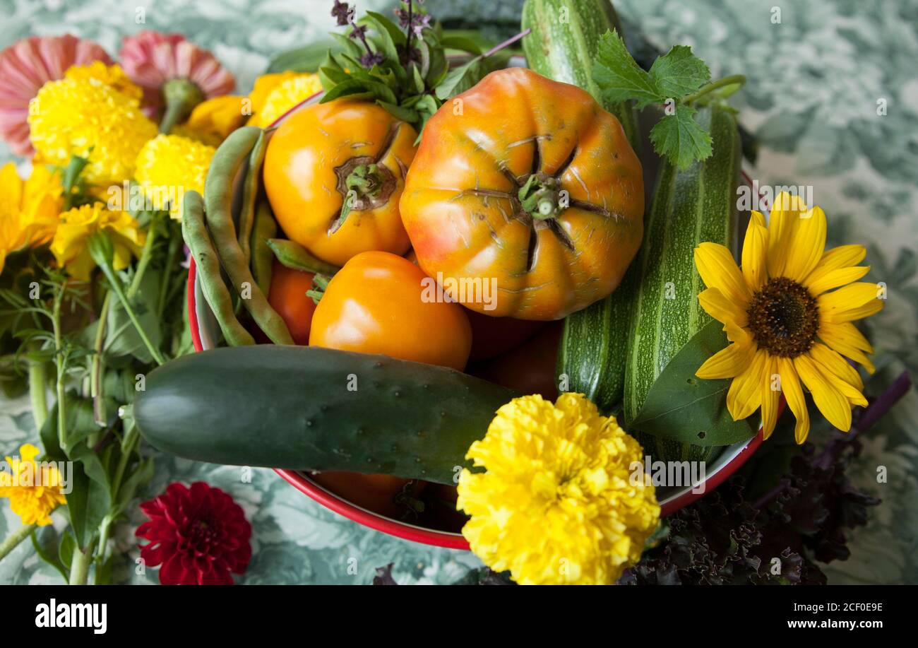 Auswahl an hausgewachsenem Gemüse und Blumen auf Indoor-Tisch. Stockfoto