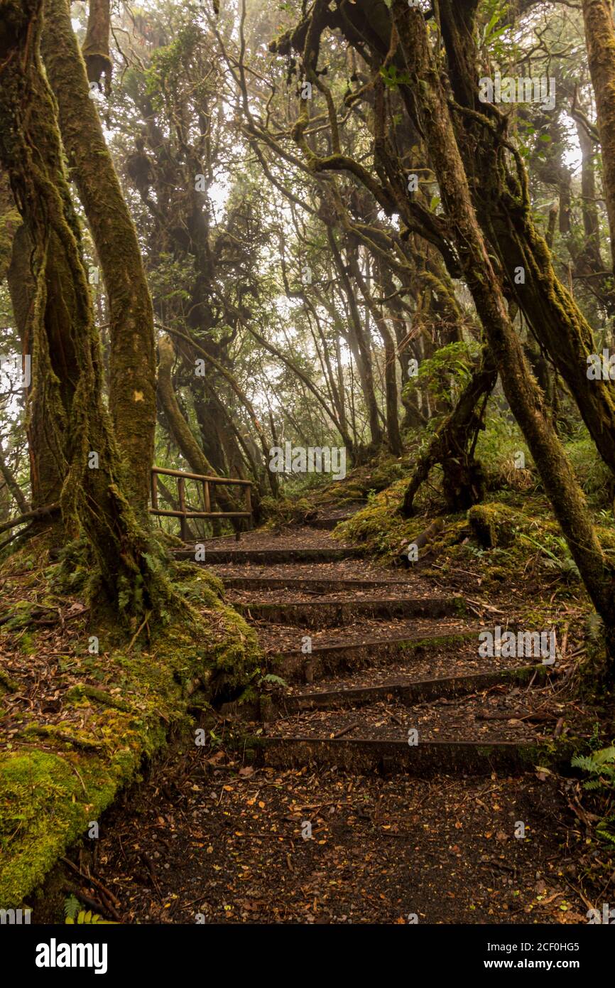 Barva Vulkanwege, Nationalpark, Touristenattraktion in der Provinz Heredia, in Zentral-Costa Rica Stockfoto