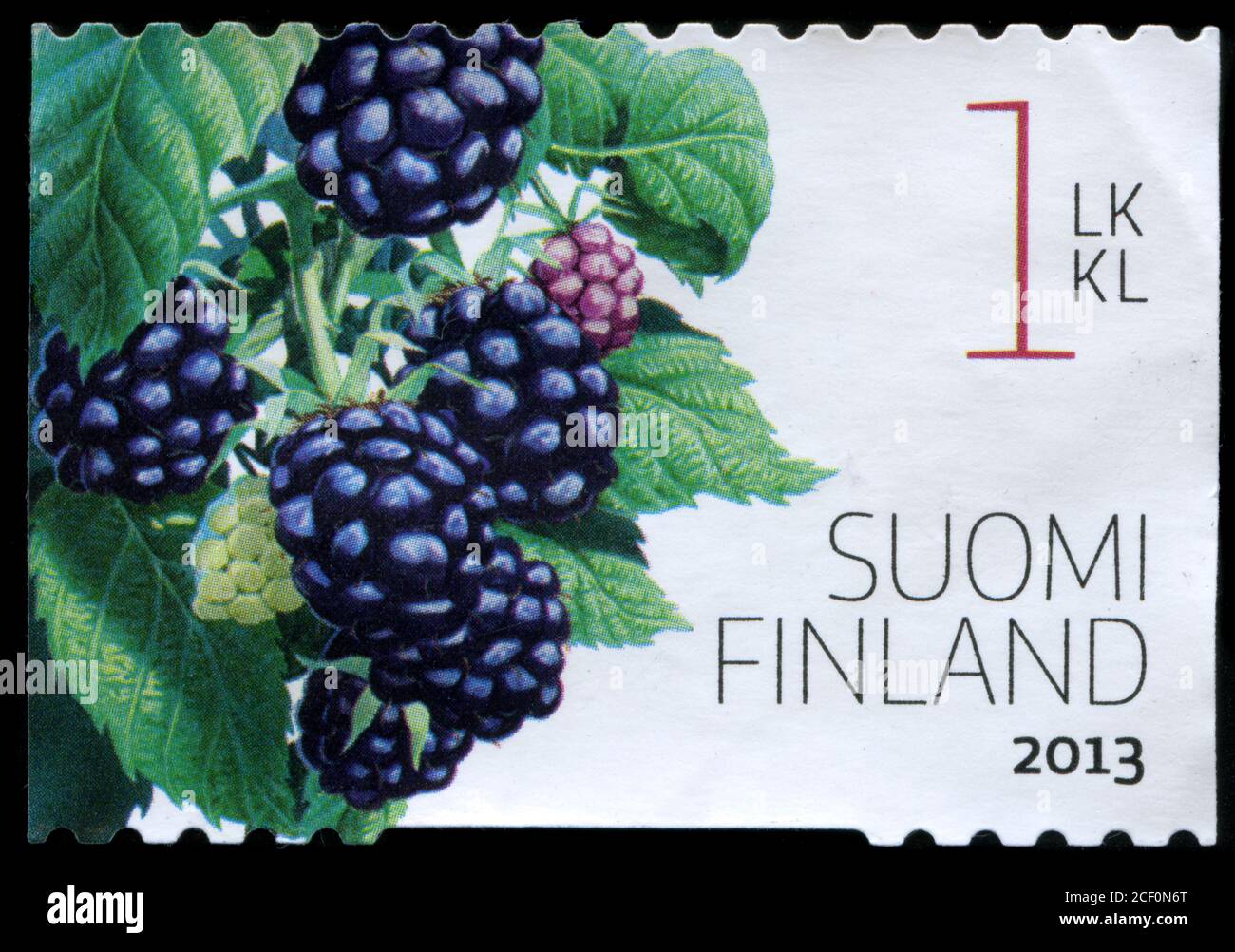 Briefmarke aus Finnland in der Gartenbeeren-Serie ausgestellt Im Jahr 2013 Stockfoto