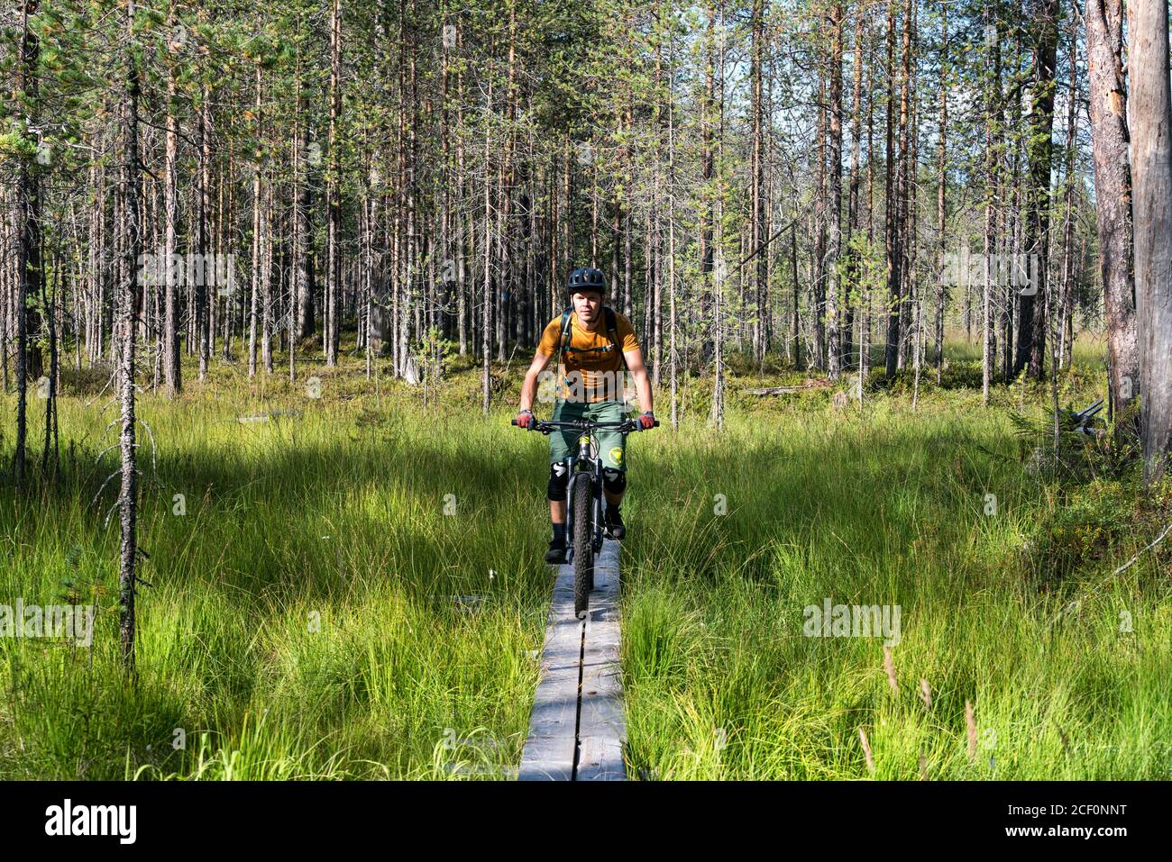 Mountainbiken im Hossa Nationalpark, Finnland Stockfoto