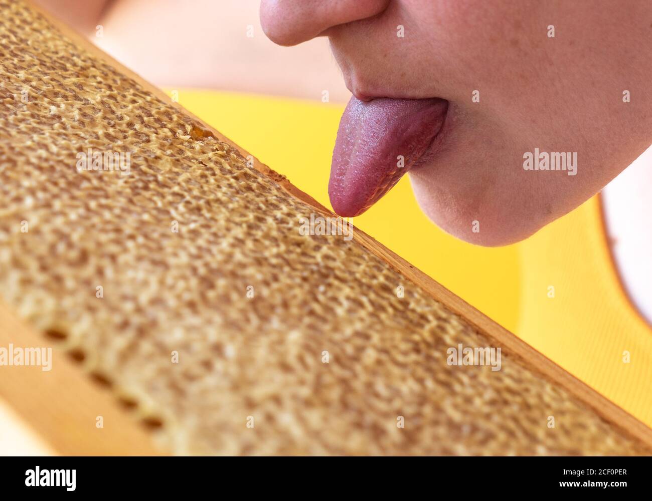 Rahmen aus Waben. Jemand Zunge probieren frischen Honig. Natürliches Bio-Bienenprodukt. Gesunder Lebensstil. Nahaufnahme. Stockfoto