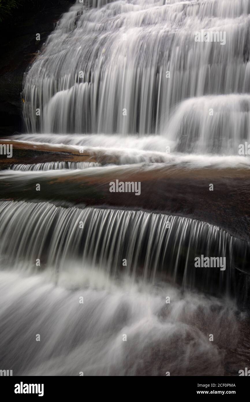 Moody Langzeitbelichtung Wasser verschwimmt bei Grogan Creek Falls - Butter Gap Trail, Pisgah National Forest, in der Nähe von Brevard, North Carolina, USA Stockfoto