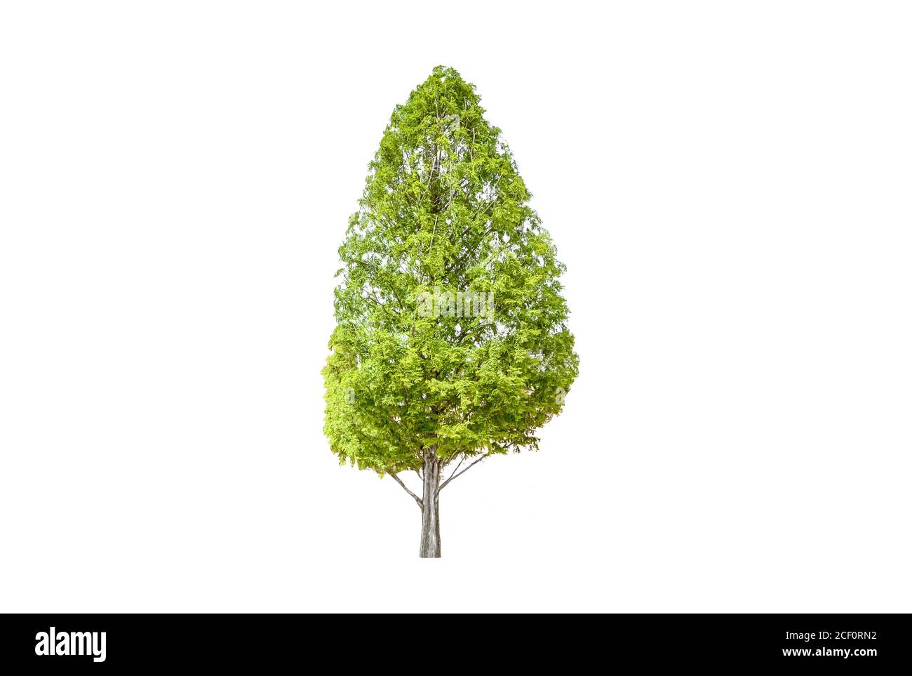 Ziegelwand der Architektur für den Hintergrund, Noritake in Japan Stockfoto