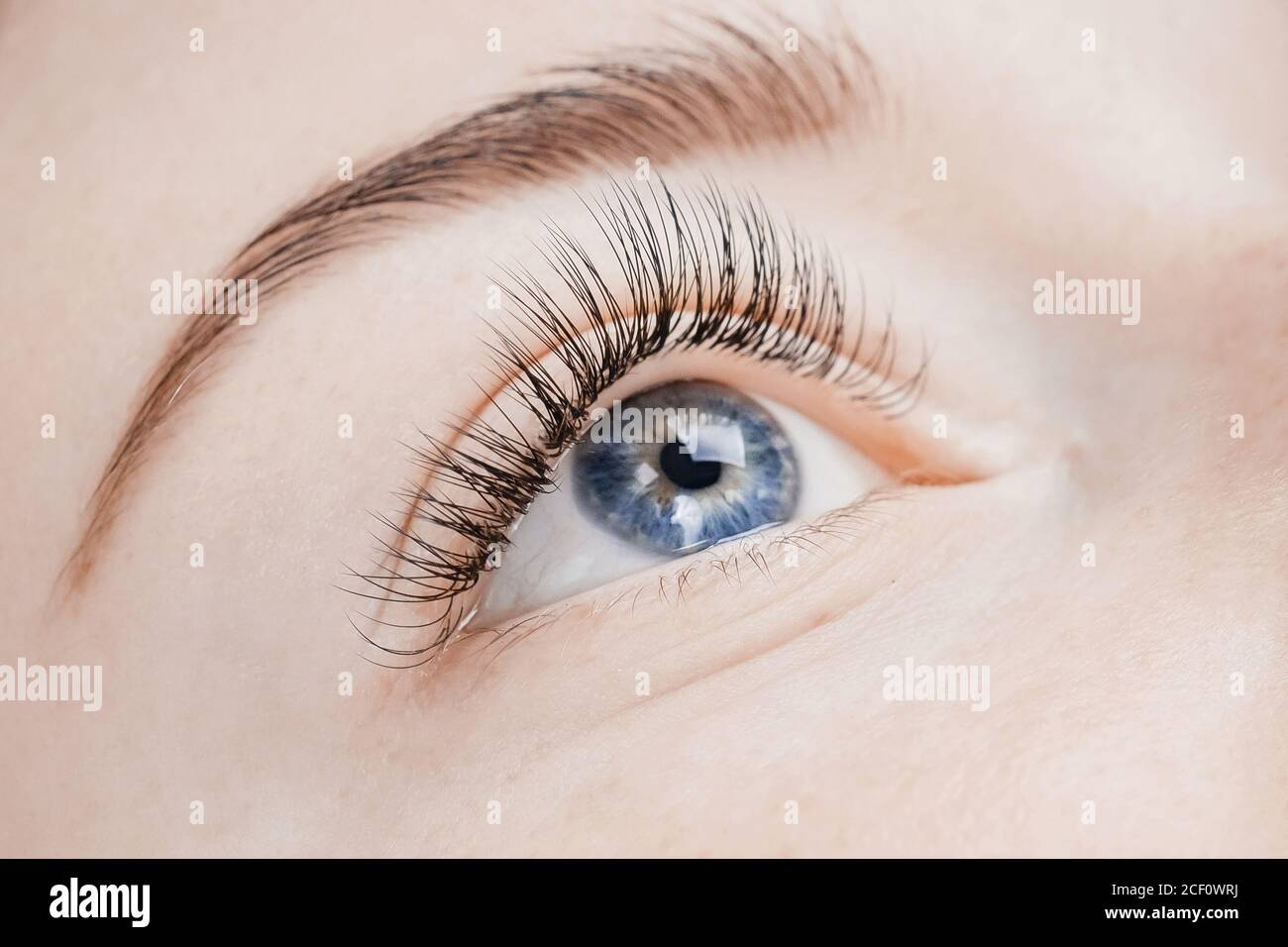 Wimpernverlängerung Verfahren. Schöne weibliche Augen mit langen Wimpern,  Nahaufnahme Stockfotografie - Alamy