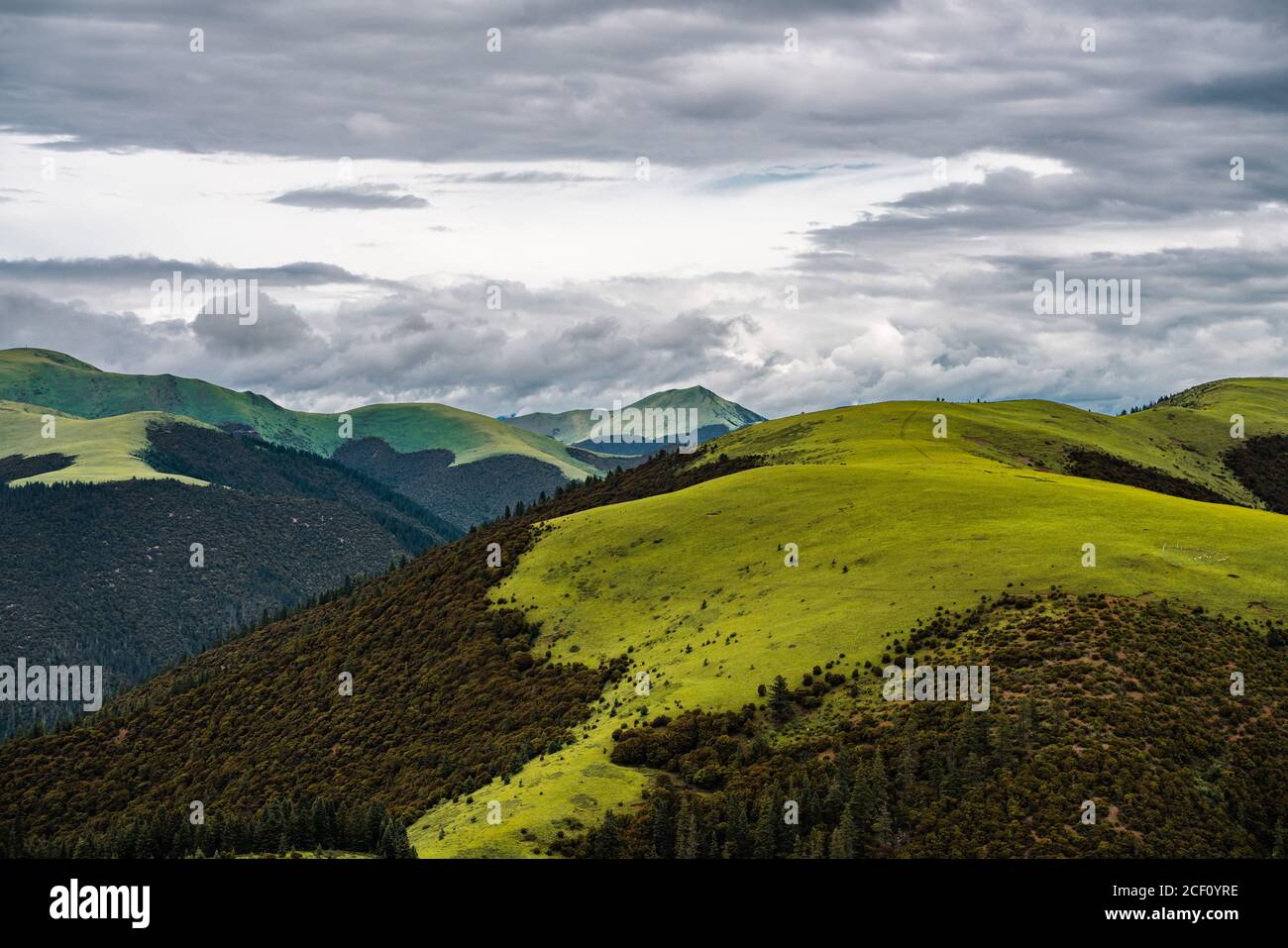 Der Sommerblick auf die grüne Bergwiese in Tibet, China. Stockfoto