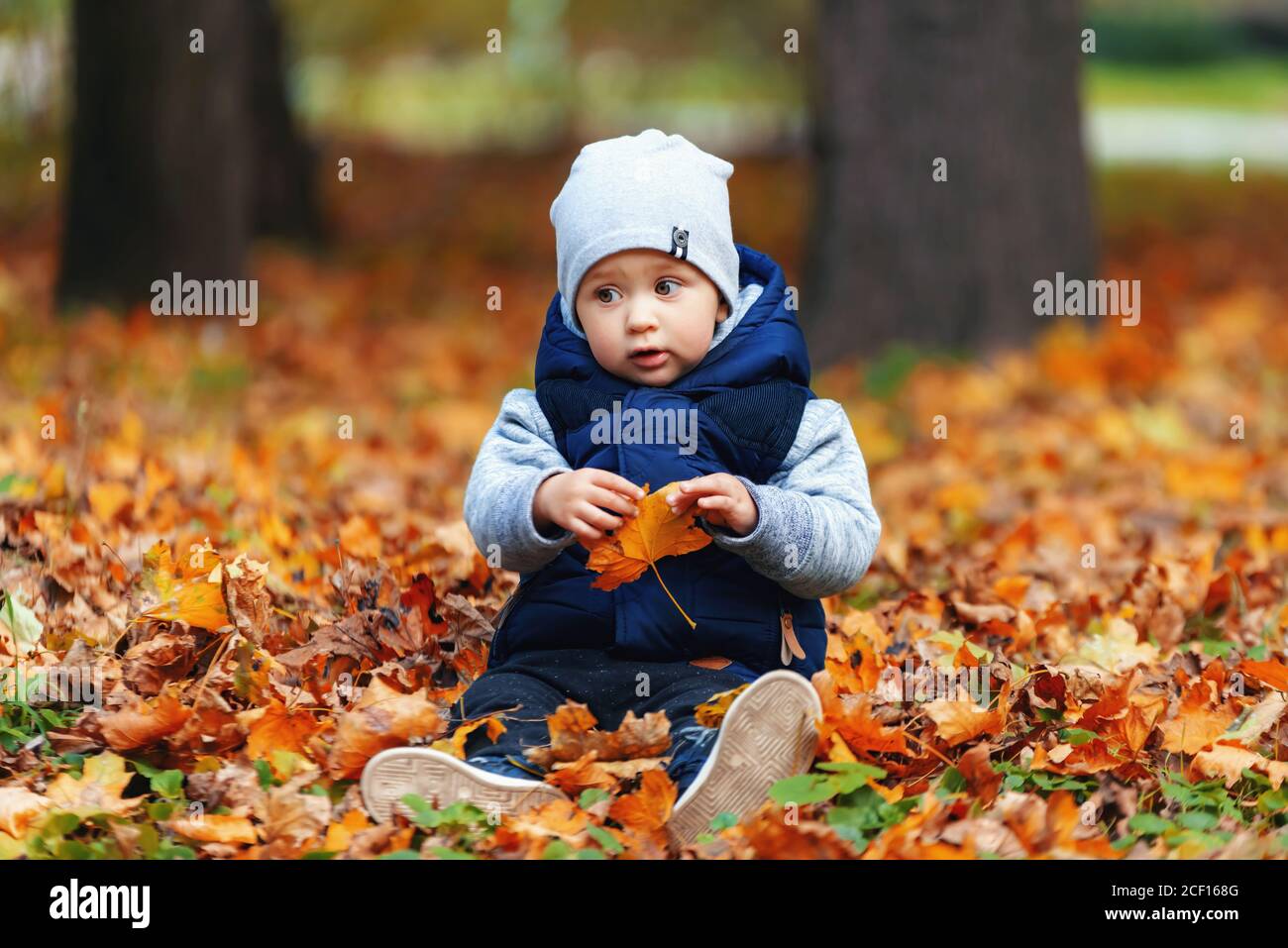 Zwei Jahre alten Jungen im Herbst Blätter. Kind spielt im Freien gelb Ahorn Blätter fallen Stockfoto