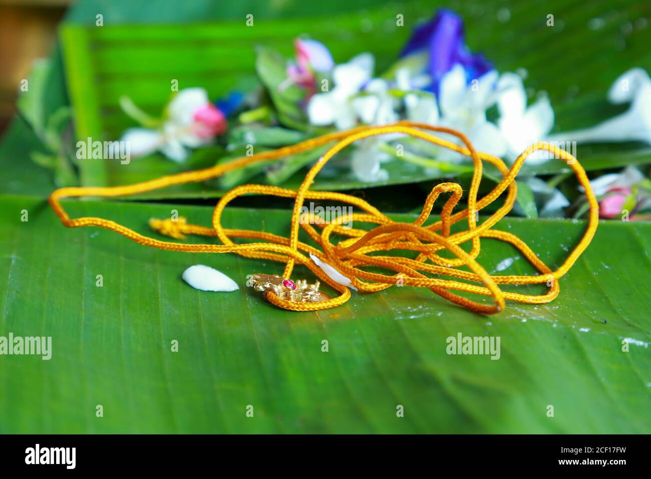 Der Thali mala ist ein wichtiger Teil der Hindu-Ehe. Bräutigam Band der Braut den Hals. Es ist ein Symbol der ehelichen Beziehung in hinduthwa. Stockfoto