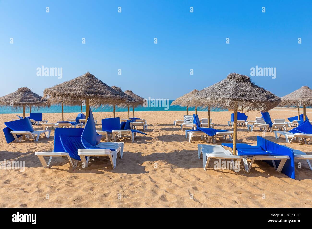 Gruppen-Strandschirme und blaue Strandliegen bei portugiesisch Küste Stockfoto