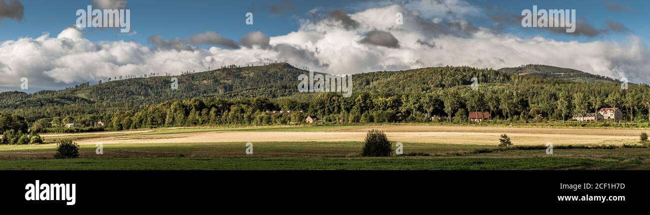 Panorama-Aufnahme eines riesigen trockenen Gebietes mit wenigen Bäumen Tagsüber Stockfoto