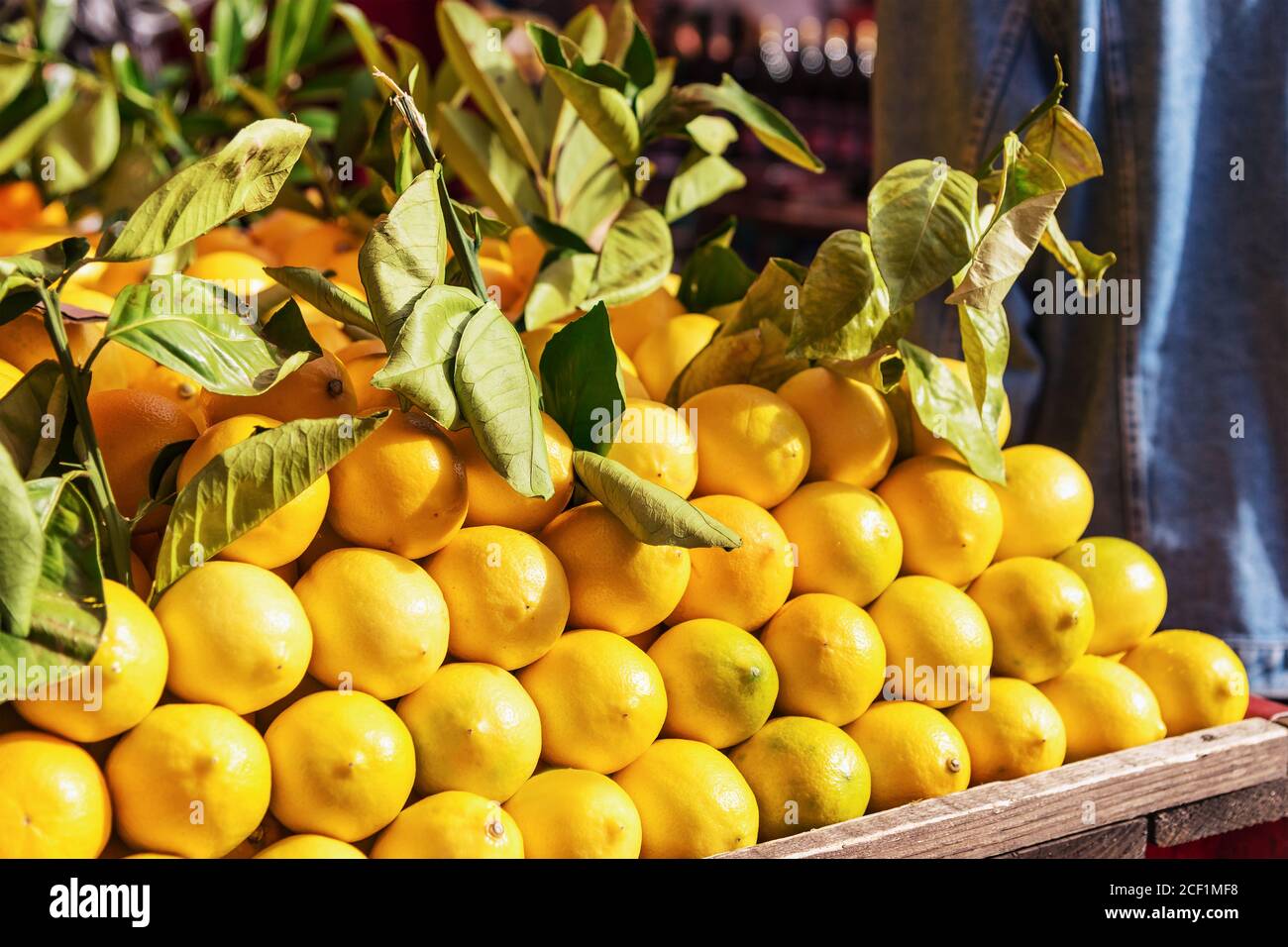Zitronen auf dem Markt, Herbsternte Verkauf. Zitrusfrüchte, gesunde Ernährung Konzept Stockfoto