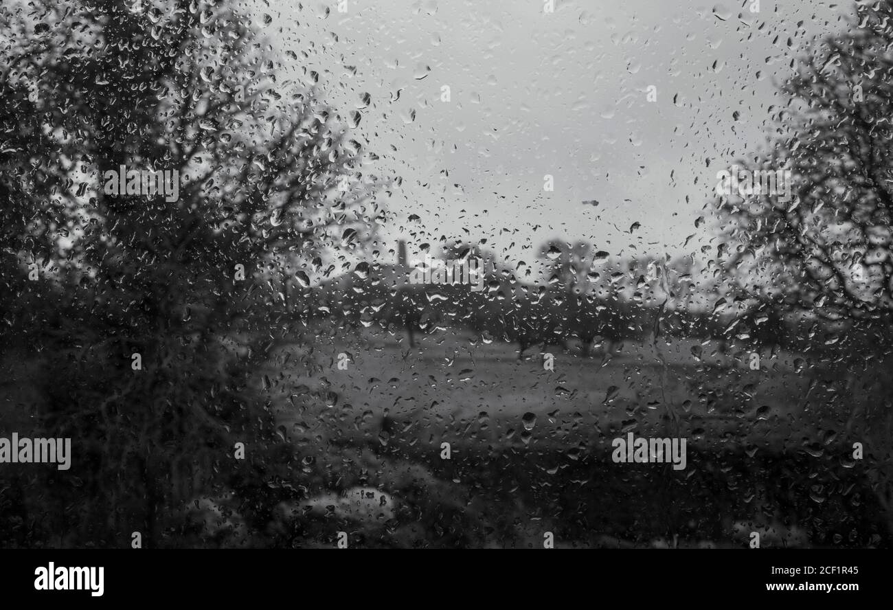 Regentropfen am Fenster mit Blick auf Bäume Stockfoto