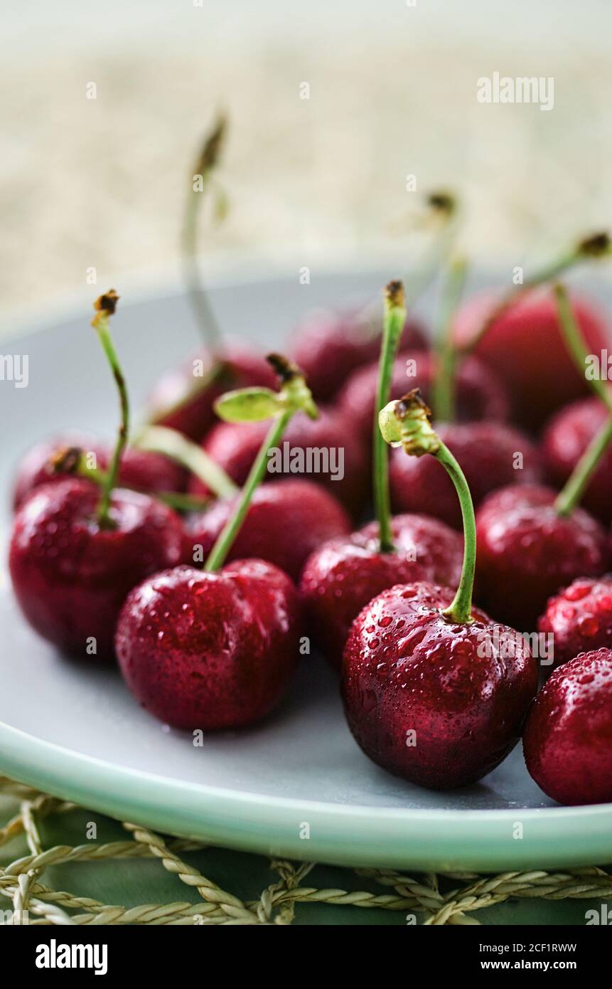 Frische, saftige Sommerkirschen Stockfoto