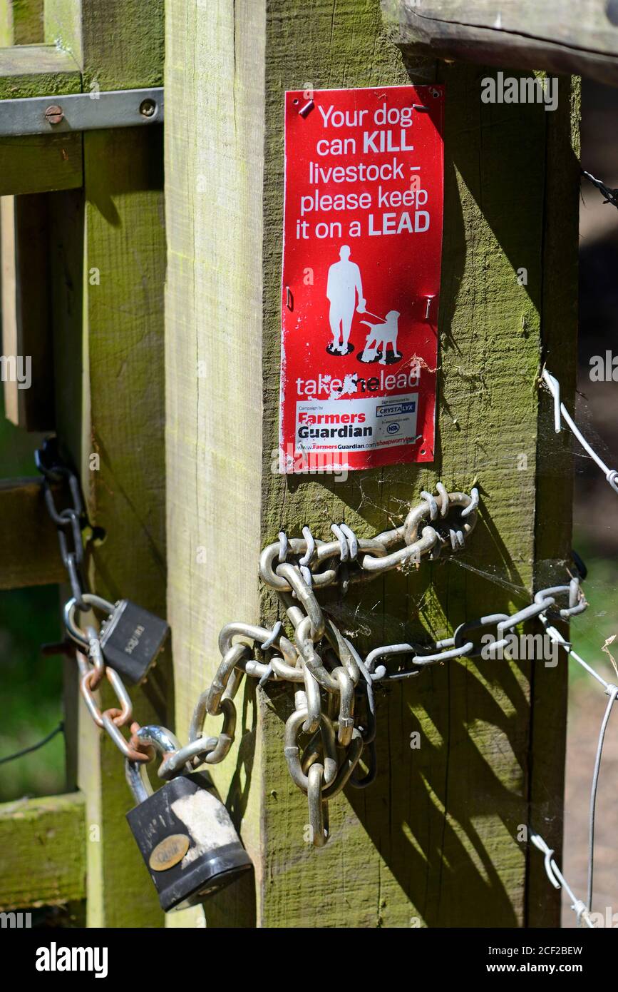 Melden Sie sich an eine gtae Warnung Hundebesitzer ihren Hund an der Leine zu halten, wenn sie einen Bereich mit Vieh betreten. Boughton Monchelsea Village, Kent, Großbritannien. Stockfoto