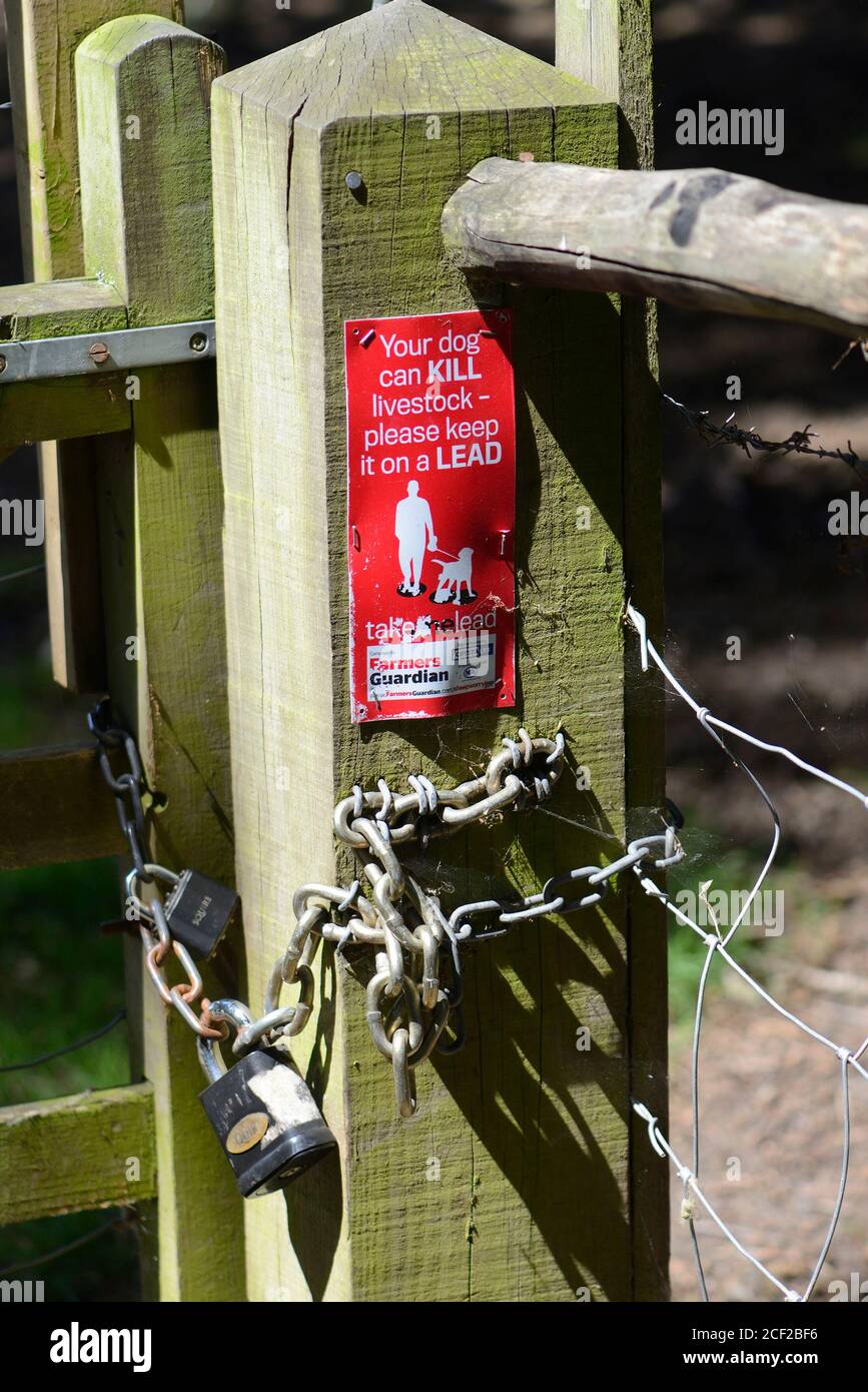 Melden Sie sich an eine gtae Warnung Hundebesitzer ihren Hund an der Leine zu halten, wenn sie einen Bereich mit Vieh betreten. Boughton Monchelsea Village, Kent, Großbritannien. Stockfoto