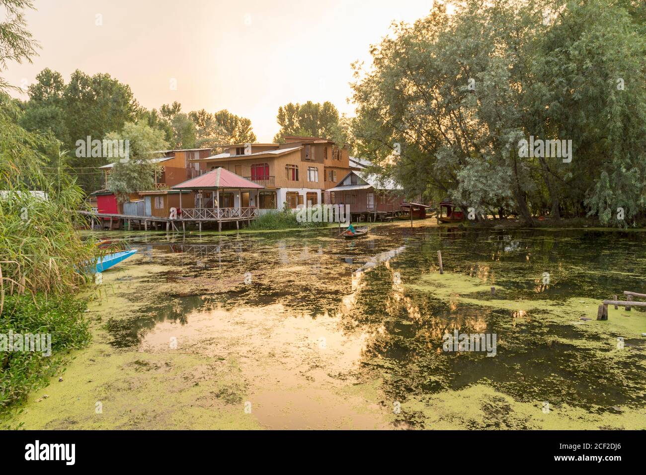 1 Jul 2017, Srinagar, Kashmir, Indien : Häuser am Dal See und lokale Bootsführer Stockfoto