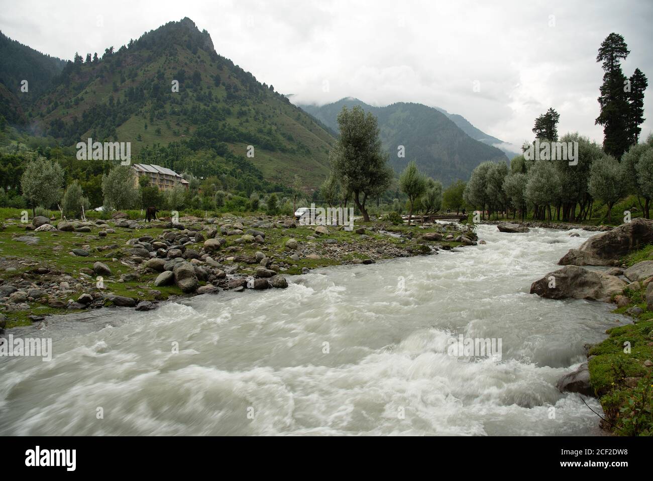 Jhelum River ist ein Fluss in Nordindien und im Osten Pakistans, Pahalgam, Jammu Kashmir, Indien Stockfoto