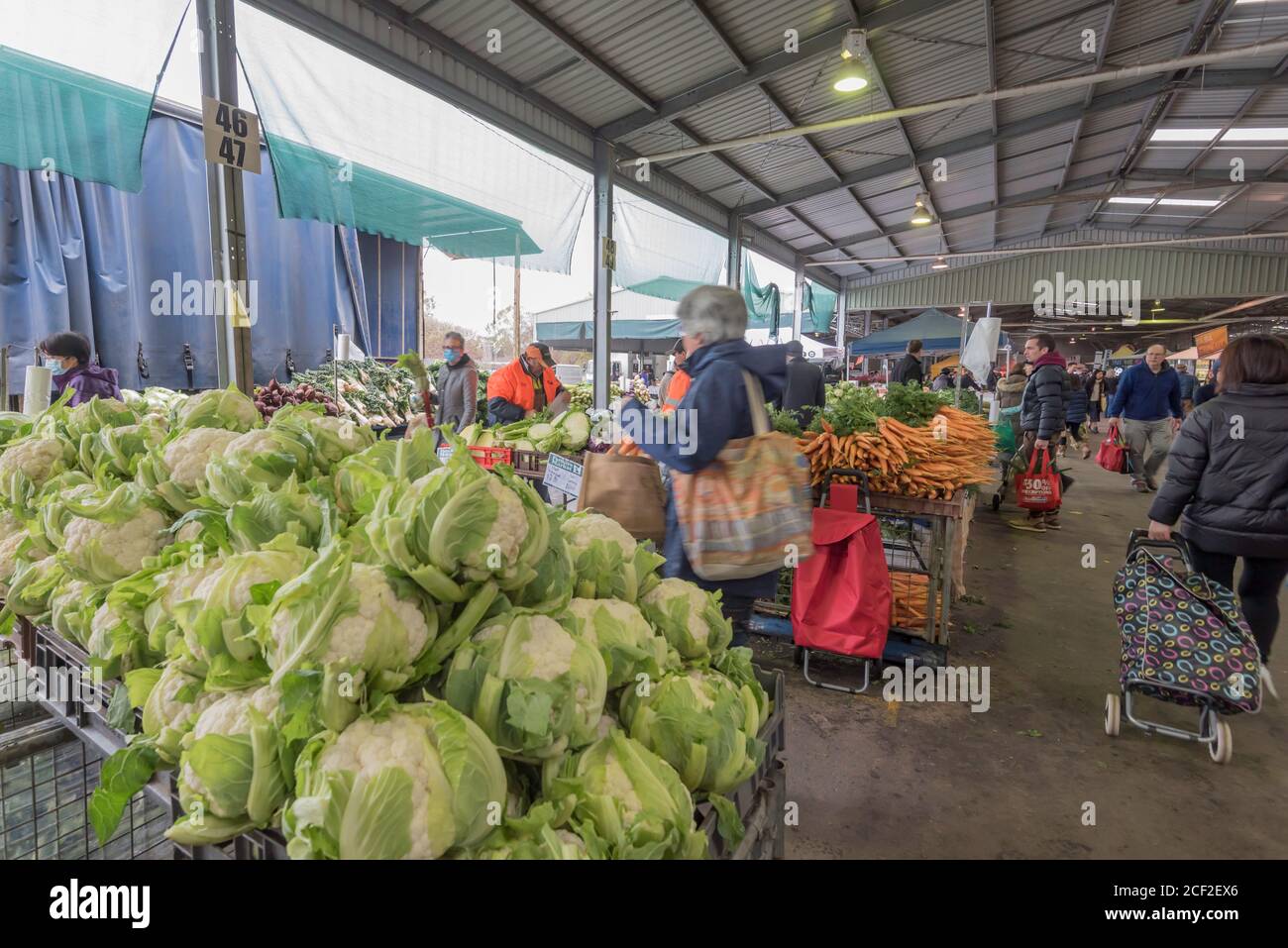 Käufer und Verkäufer von Obst und Gemüse auf dem Australian Capital Region Farmers Market in Mitchell (Canberra) ACT, Australien Stockfoto