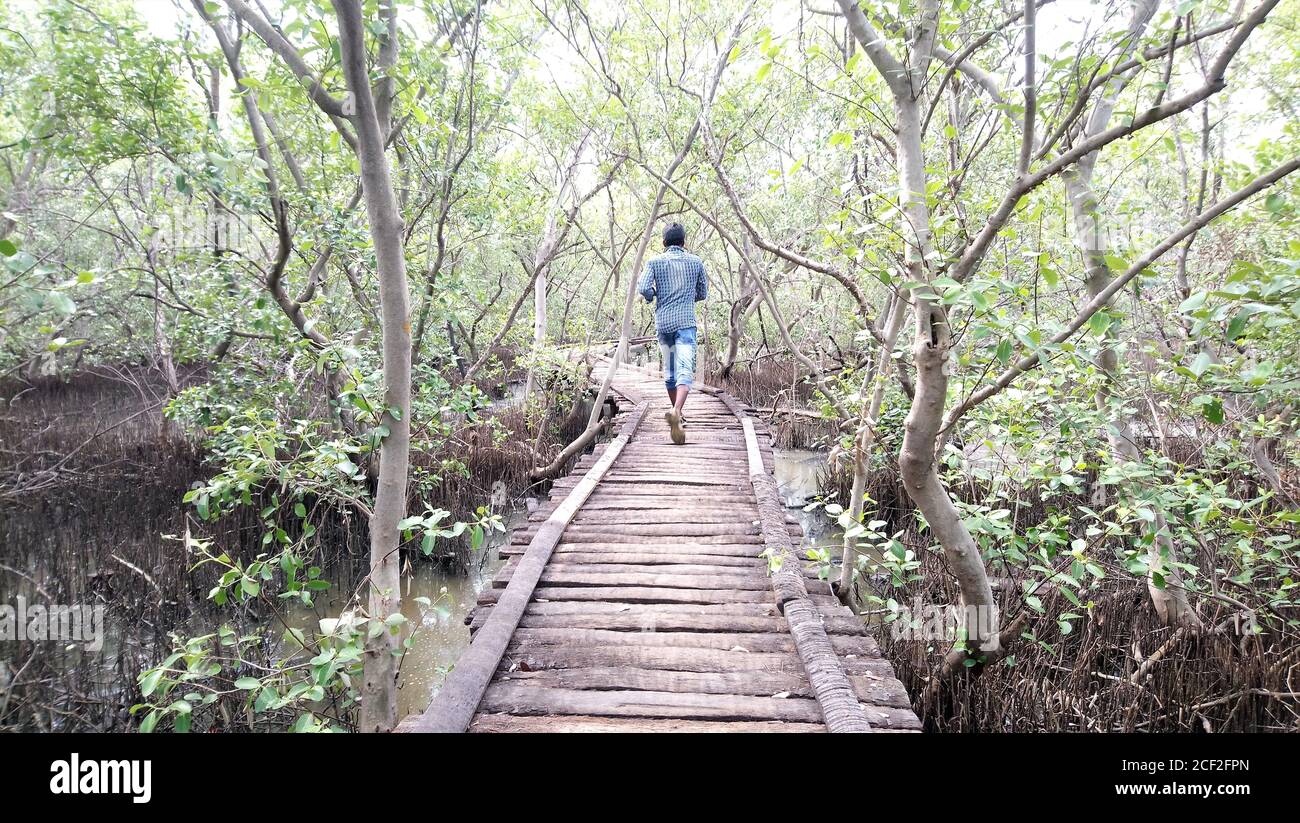 Mann im Wald Stockfoto