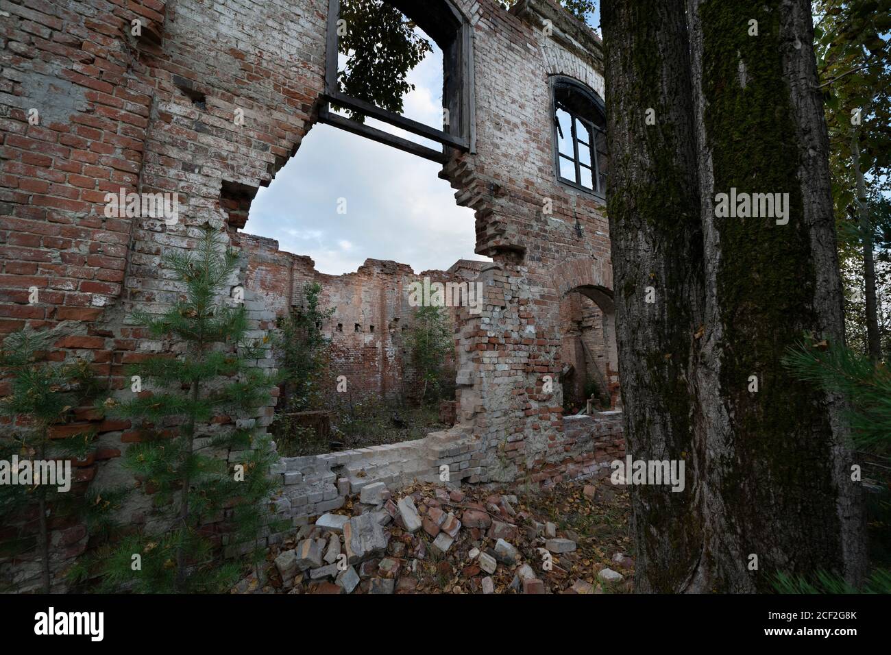 Zerstörte Ziegelmauer eines alten Gebäudes, gewölbte Fenster, Blick von außen, in den Wald Stockfoto