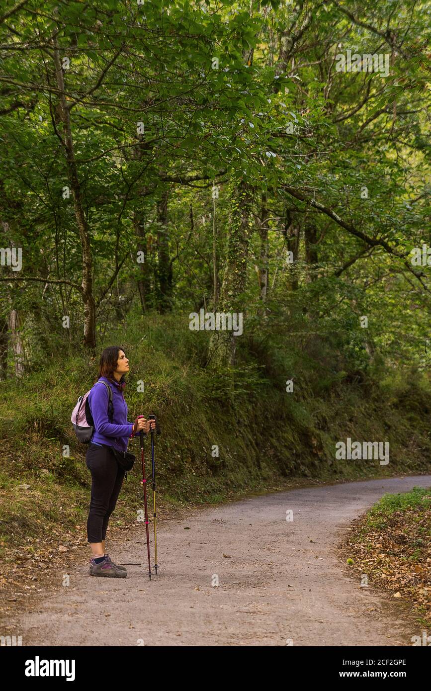 Junge Frau beim Wandern im Bergwald Stockfoto