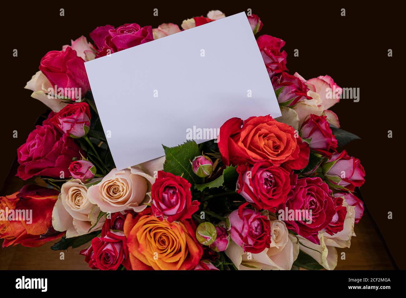 Bouquet von roten, rosa und gelben Rosen mit leerer Karte. Vorlage für Geburtstag, Hochzeit, Muttertag, valentinstag Karte. Stockfoto
