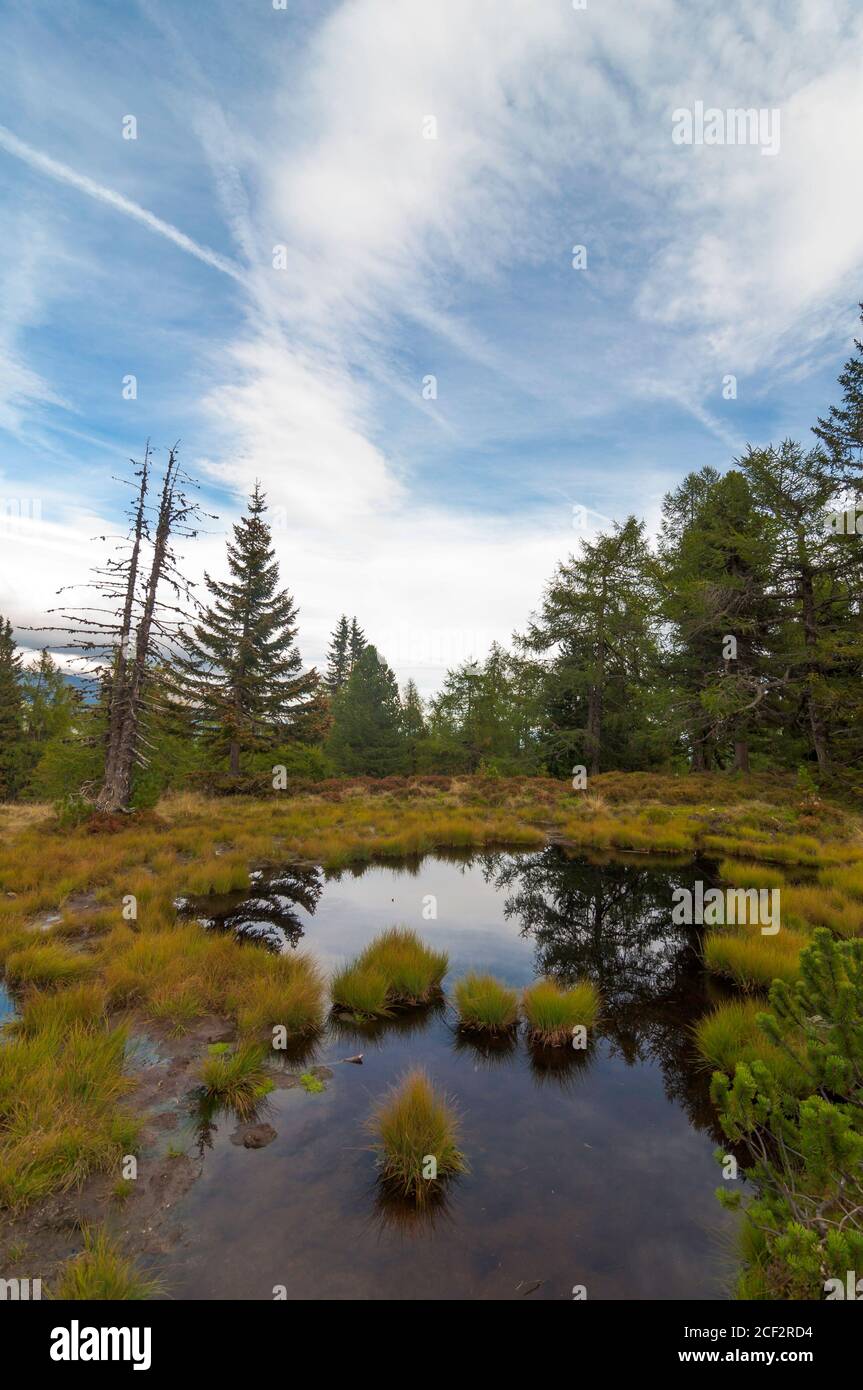 Himmel und Bäume spiegeln sich in einem kleinen Hochmoorsee am Moserkopf-Berg, Faningberg im Lungau. Herbststimmung, der Himmel ist bewölkt. Stockfoto