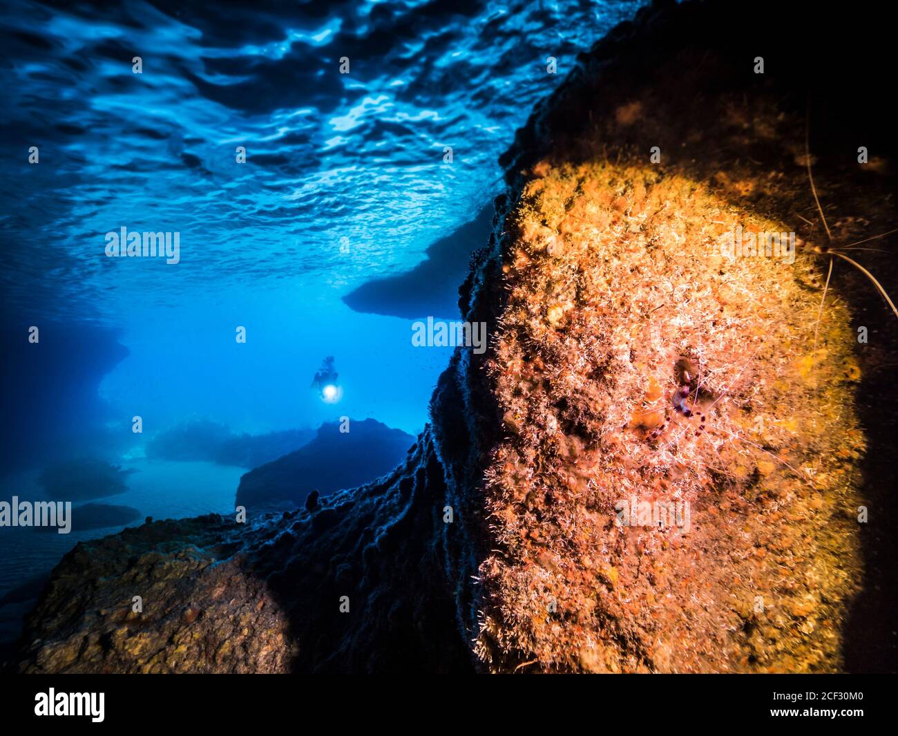 Seascape von Korallenriff in der Karibik / Curacao Mit Taucher und Korallenriffs in der Höhle 'Blue Room' Stockfoto