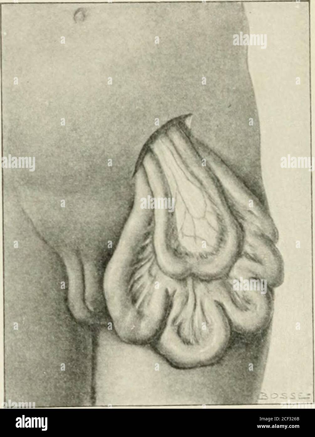 Anal elementlar bilan jinsiy aloqa Elina bilan jinsiy aloqa