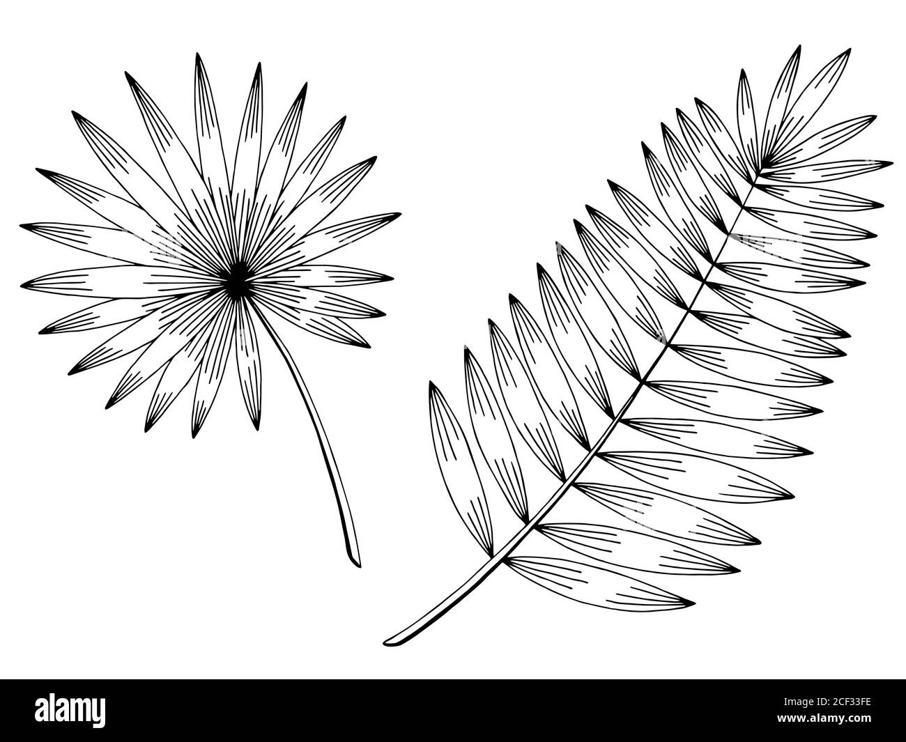 Palm Blatt Grafik schwarz weiß isoliert Skizze Illustration Vektor Stock Vektor