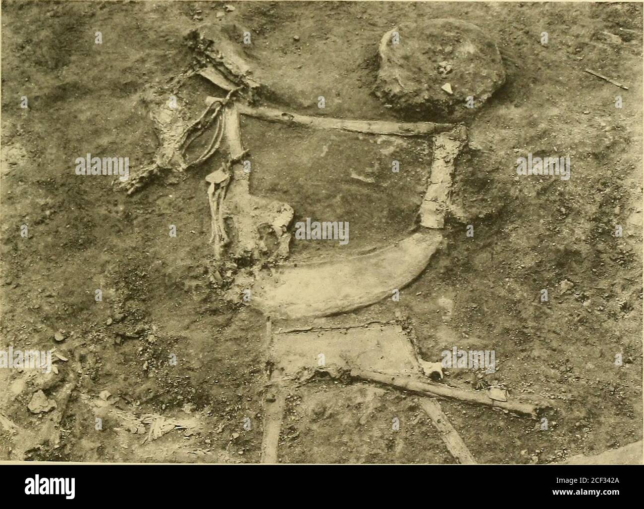 Ur Ausgrabungen Pg 1237 A Die Ruinierten Kupferfiguren Von Zwei Hirschen U I2356v S 123 B Das Kopfkleid 1t Des Korpers Nr 61 In Positionv Pi 144 Platte 75 Z 3i