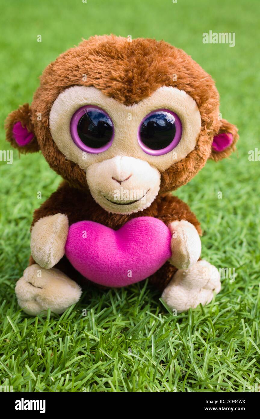 TY Beanie Boo Boos Casanova der Valentine Monkey Hold. Weicher Spielzeug-Affe isoliert auf einem grünen Hintergrund im vertikalen Format. Stockfoto