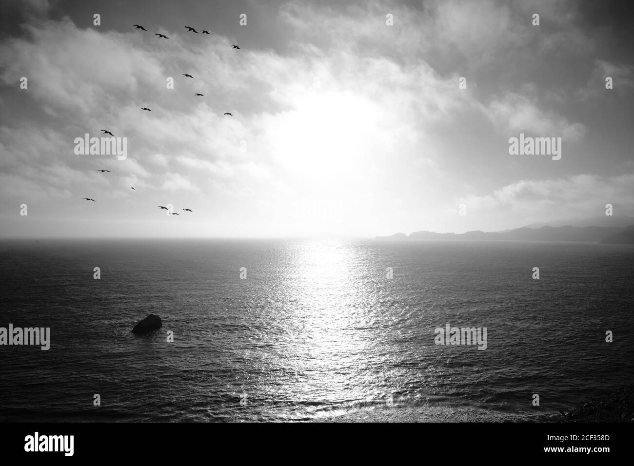 Vögel fliegen über das Meer bei Sonnenuntergang Stockfoto