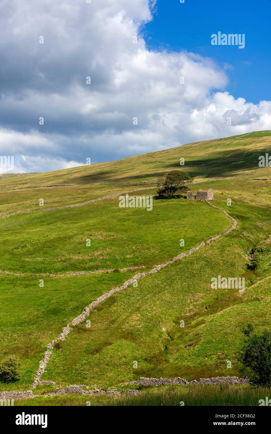 Ruined Cottage hoch auf den Hügeln über Dent Dale, West Yorkshire. Stockfoto