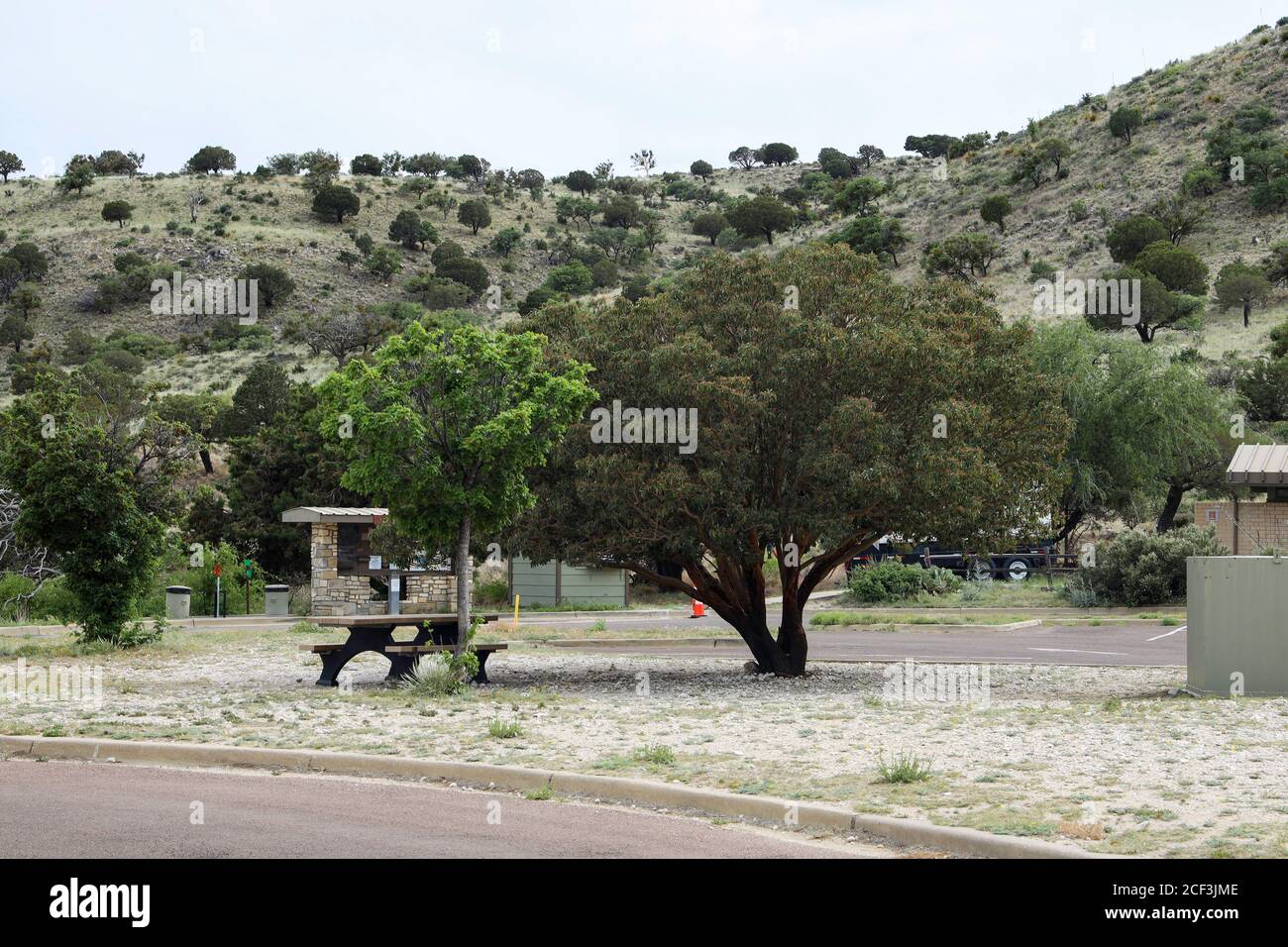 RV Camping Area des Guadalupe Mountains National Park Campground, Pine Springs, Texas Stockfoto