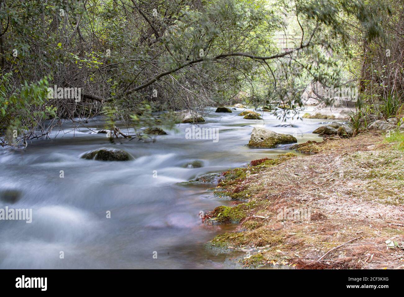 Castril Fluss Bach fällt durch die Felsen in Cerrada del Rio Castril, Spanien, reines Trinkwasser fließt durch die spanischen Berge. Natürlich Stockfoto