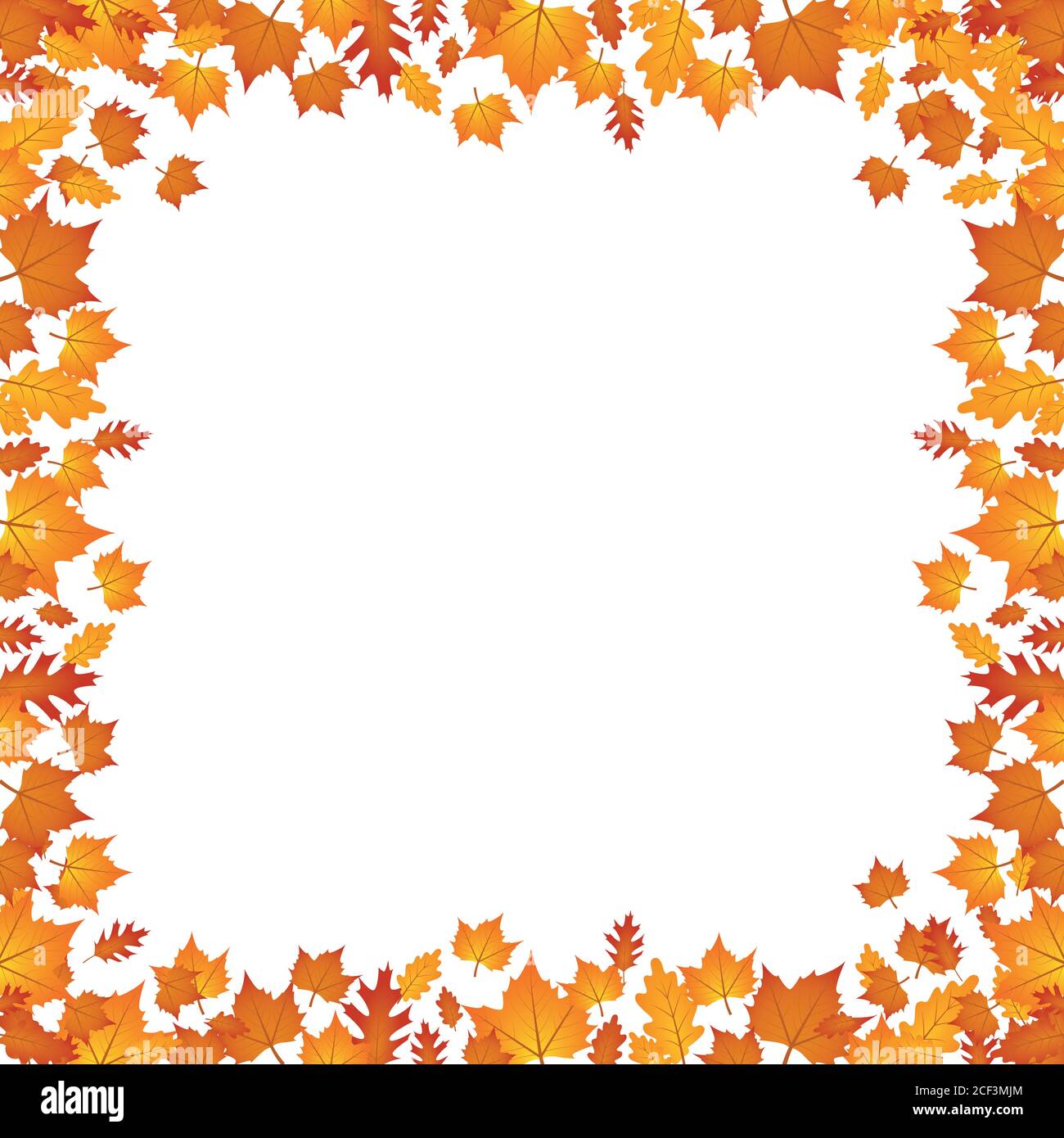 Herbstlaub Grenze isoliert auf weißem Hintergrund Vektor Illustration EPS10 Stock Vektor