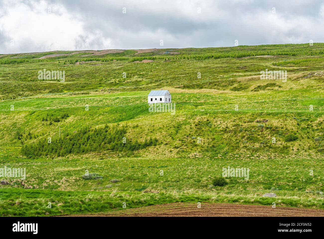 Landschaftsansicht von Island Wiese grün Gras Hügel offenen Feld In der Nähe Skutustadagigar und See Myvatn während bewölkten Tag und klein Haus im Sommer Stockfoto