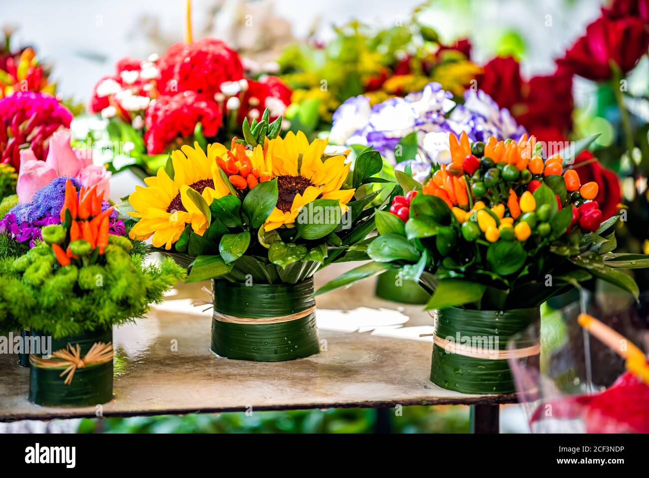 Nahaufnahme von Blumengeschäft Display mit vielen Blumensträußen Pflanzen Blumenarrangements in Campo de fiori in Rom, Italien mit Sonnenblumen und Paprika Stockfoto