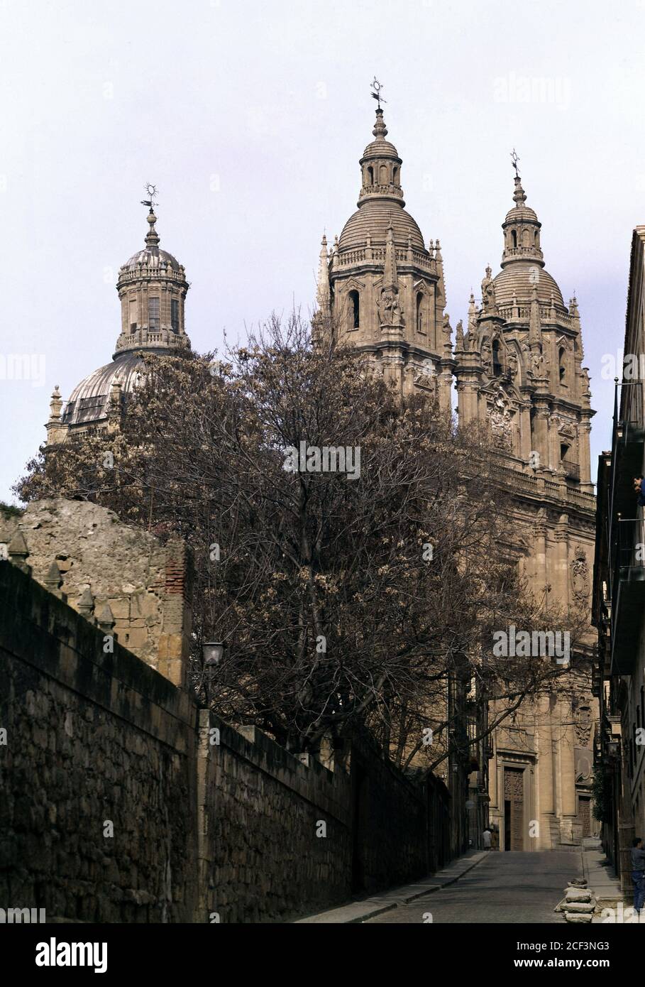 VISTA GENERAL DE LA CLERECIA DE SALAMANCA. AUTOR: GOMEZ DE MORA JUAN. Lage: Clerecía. SALAMANCA. SPANIEN. Stockfoto