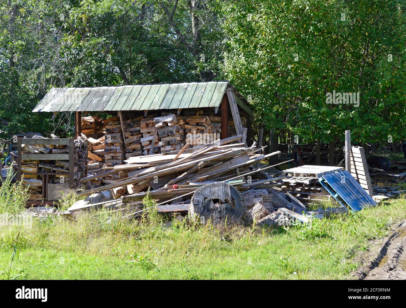 Ein Holzschuppen auf dem Land mit Winterholz für Brennvorgang wird gespeichert Stockfoto