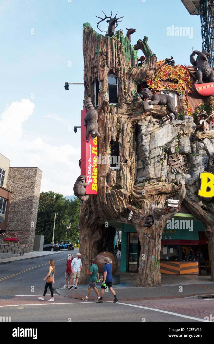 Ripley's Glauben Sie es oder nicht! museum in Gatlinburg, Tennessee, USA. Stockfoto