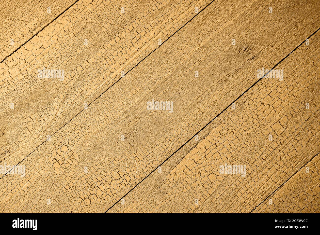 Natürliche Holzdielen in Honig dijon Farbe mit Craquelure-Effekt getönt. Diagonalboarding. Speicherplatz kopieren. Blick von direkt oben. Stockfoto