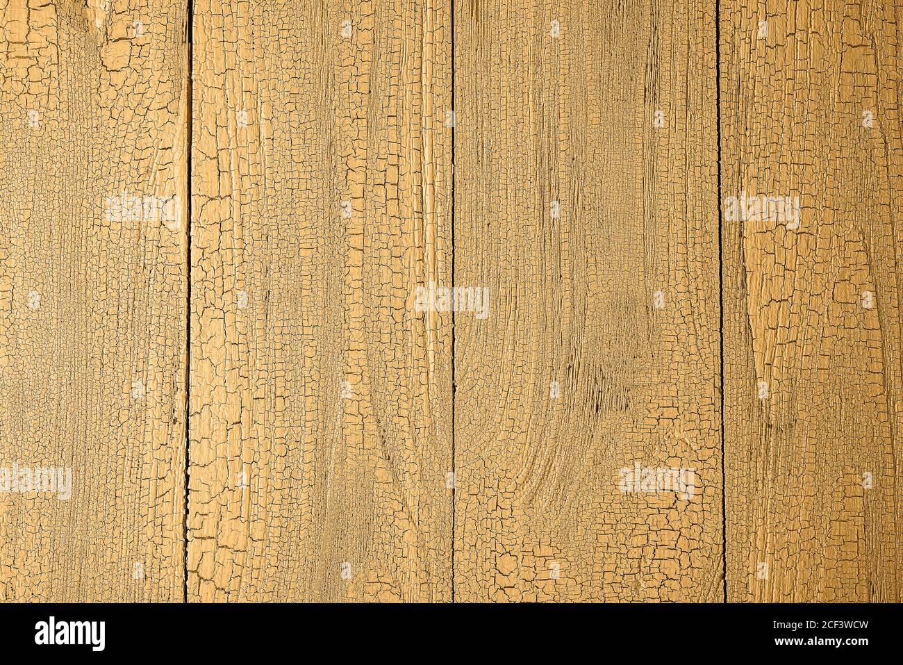Nahaufnahme von natürlichen alten Holzplanken in Honig dijon Farbe mit Rissen getönt. Hintergrund mit vertikalem Boarding und Kopierraum. Blick vom direkt abo Stockfoto