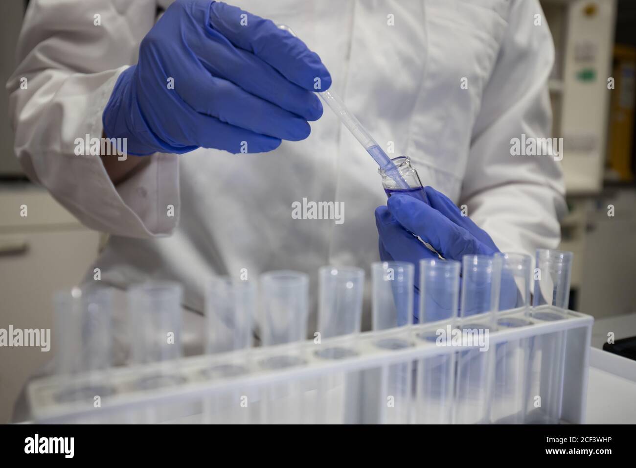 Wissenschaftler in einem Labor für analytische Chemie. Handschuhen mit Pipette und Reagenzgläsern zur Analyse einer Probe Stockfoto